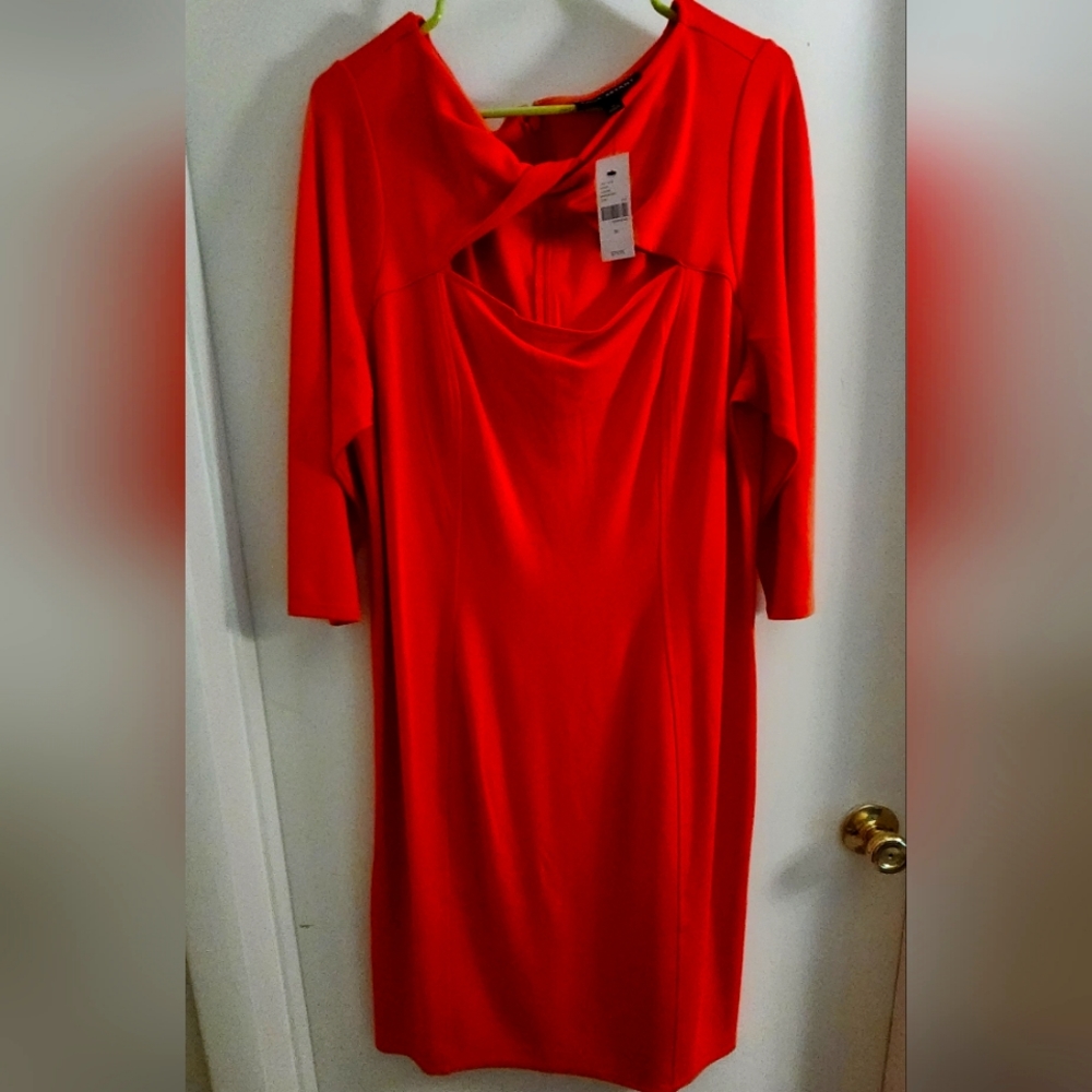 Lane Bryant Business casual orange dress.